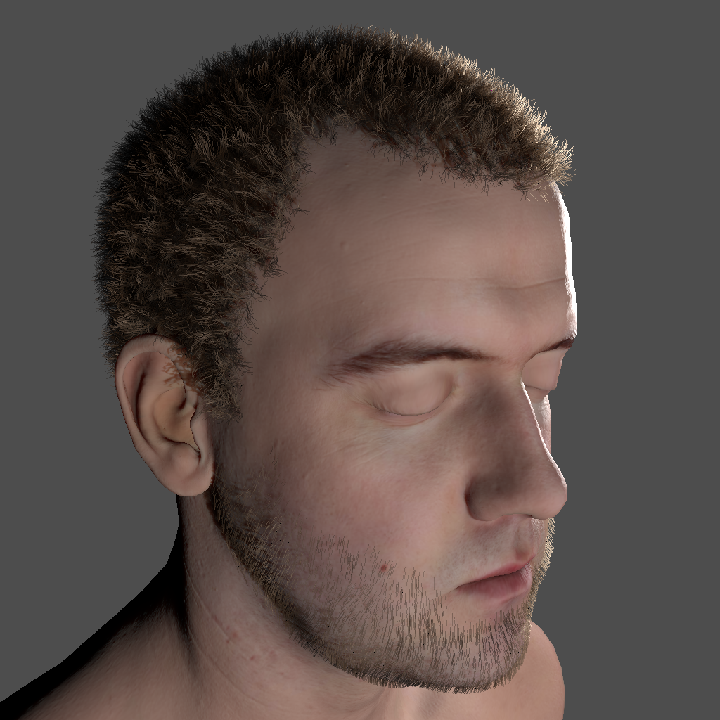 Hair Rendering