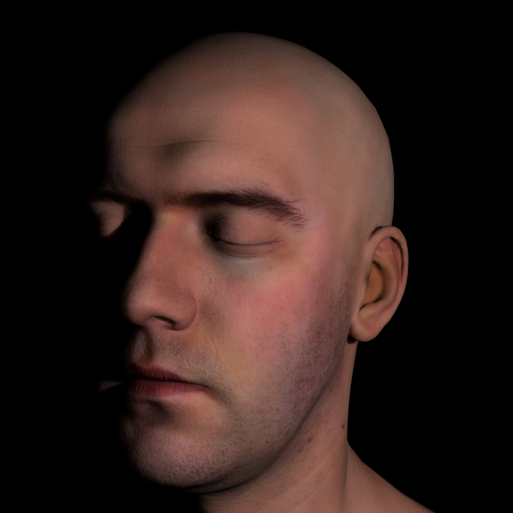 Skin Rendering