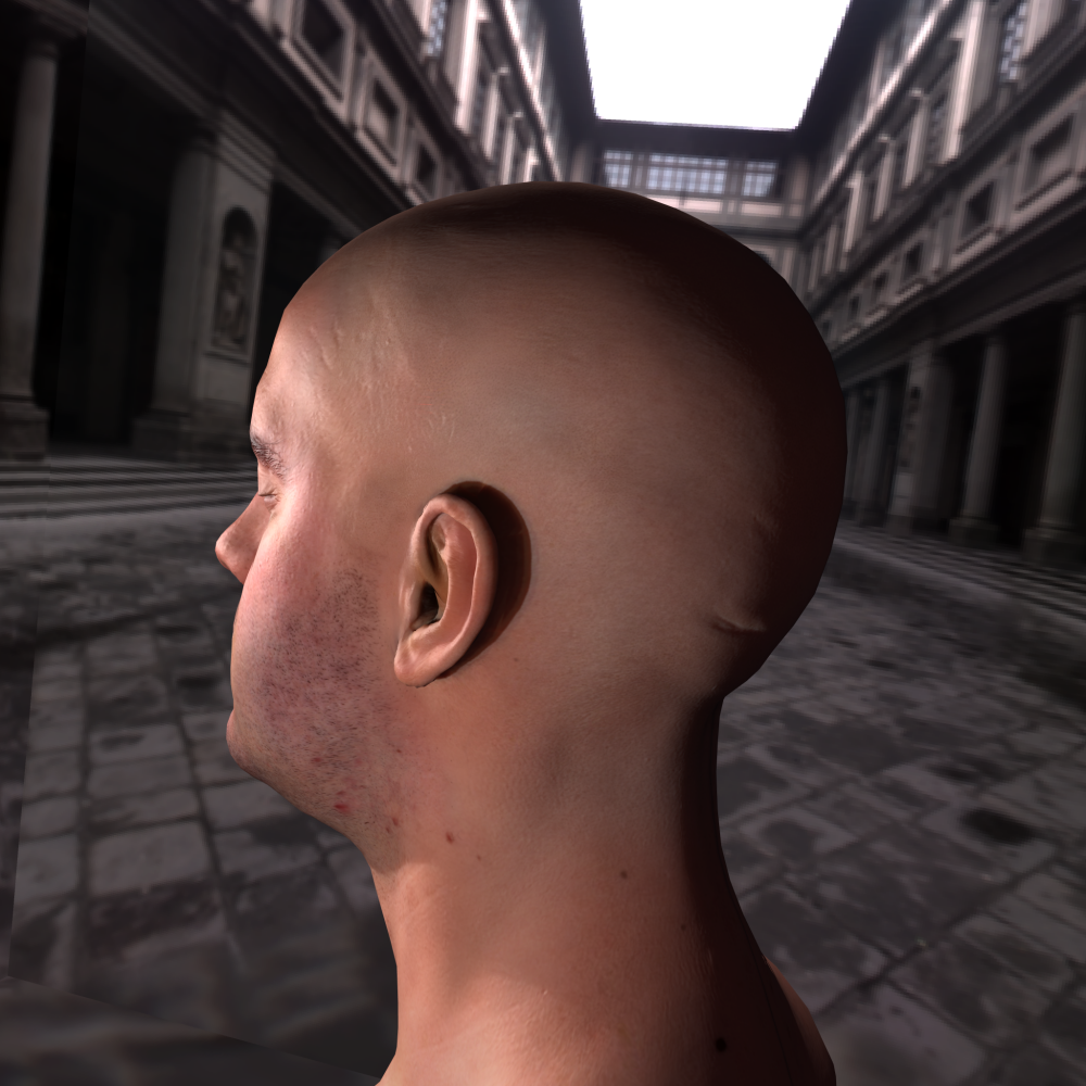 Skin Rendering