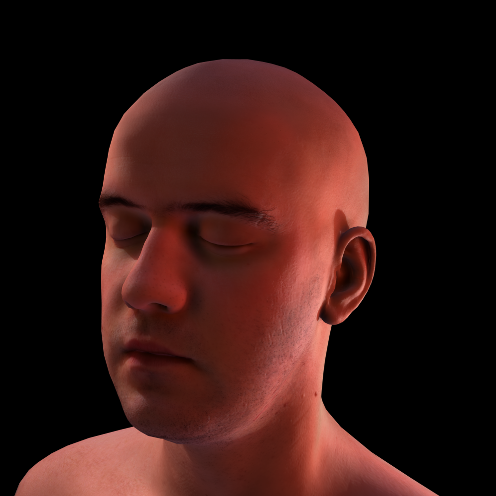 Skin Rendering